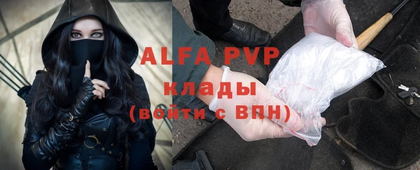 стаф Алексин