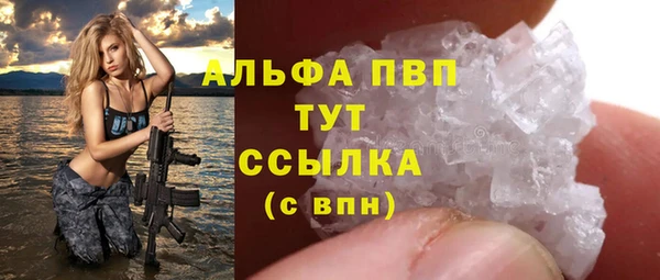 стаф Алексин