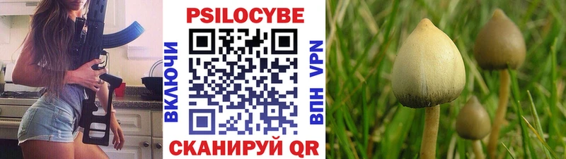 Псилоцибиновые грибы GOLDEN TEACHER  Кулебаки 