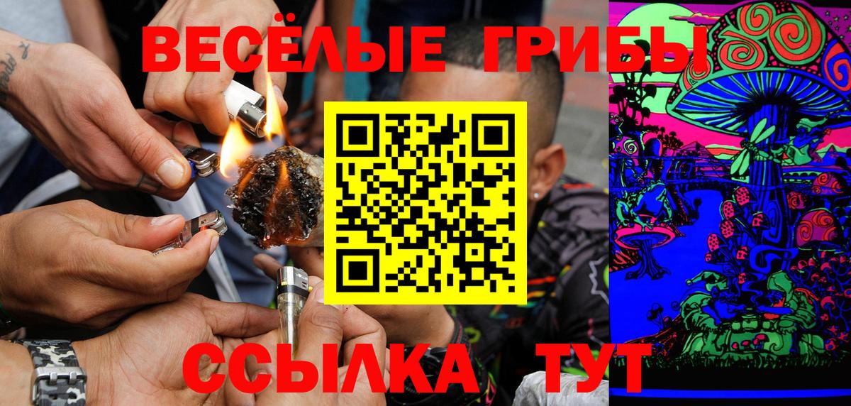 Галлюциногенные грибы Psilocybe Кулебаки