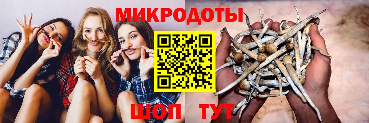 Кулебаки  Псилоцибиновые грибы прущие грибы  Галлюциногенные грибы мухоморы  Вход с VPN 