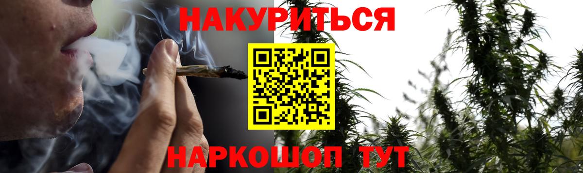 Каннабис планчик Кулебаки